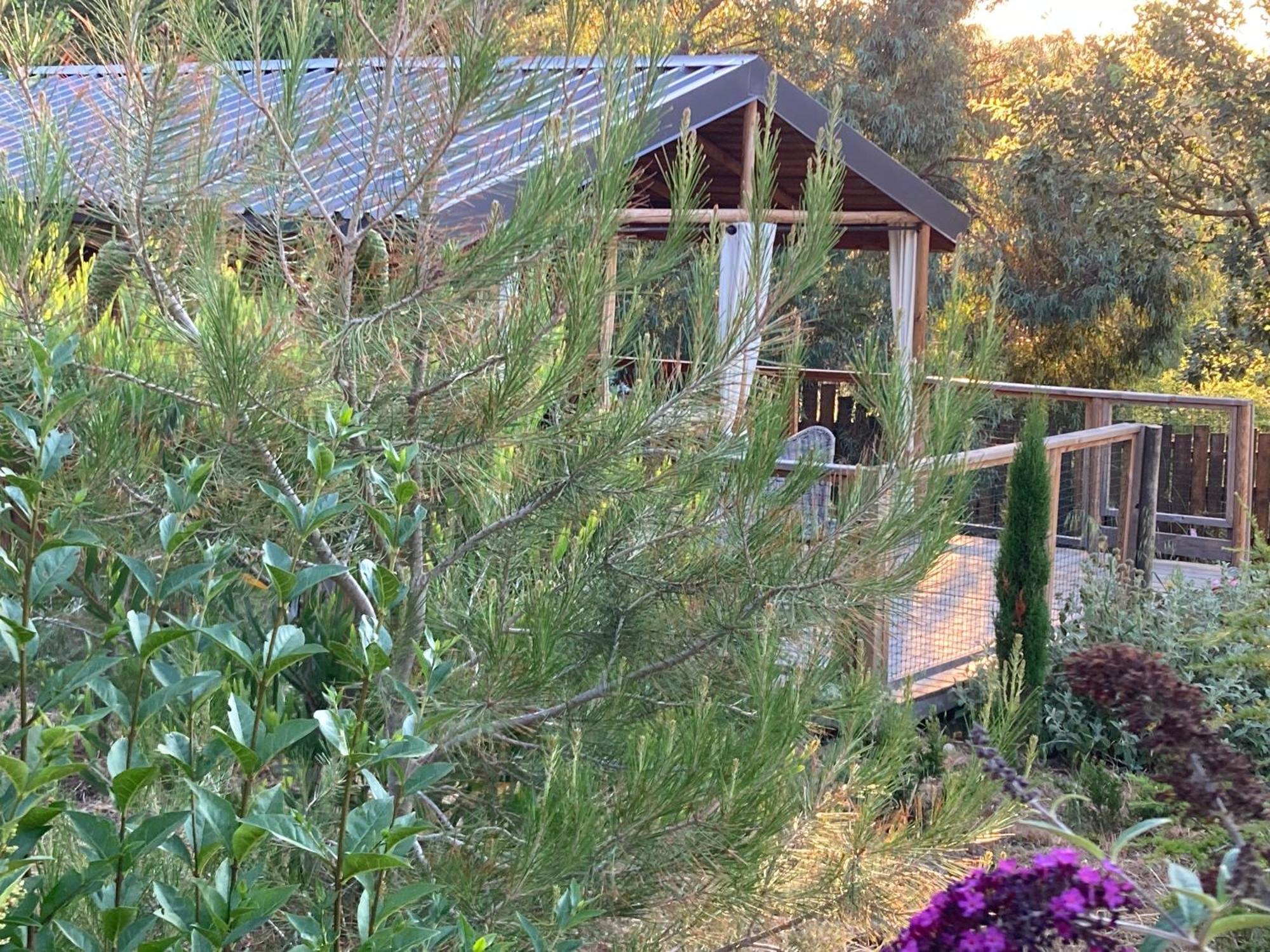 Cabanes Tresors De Campagne,Spas Privatifs Villarzel-du-Razes Exteriör bild